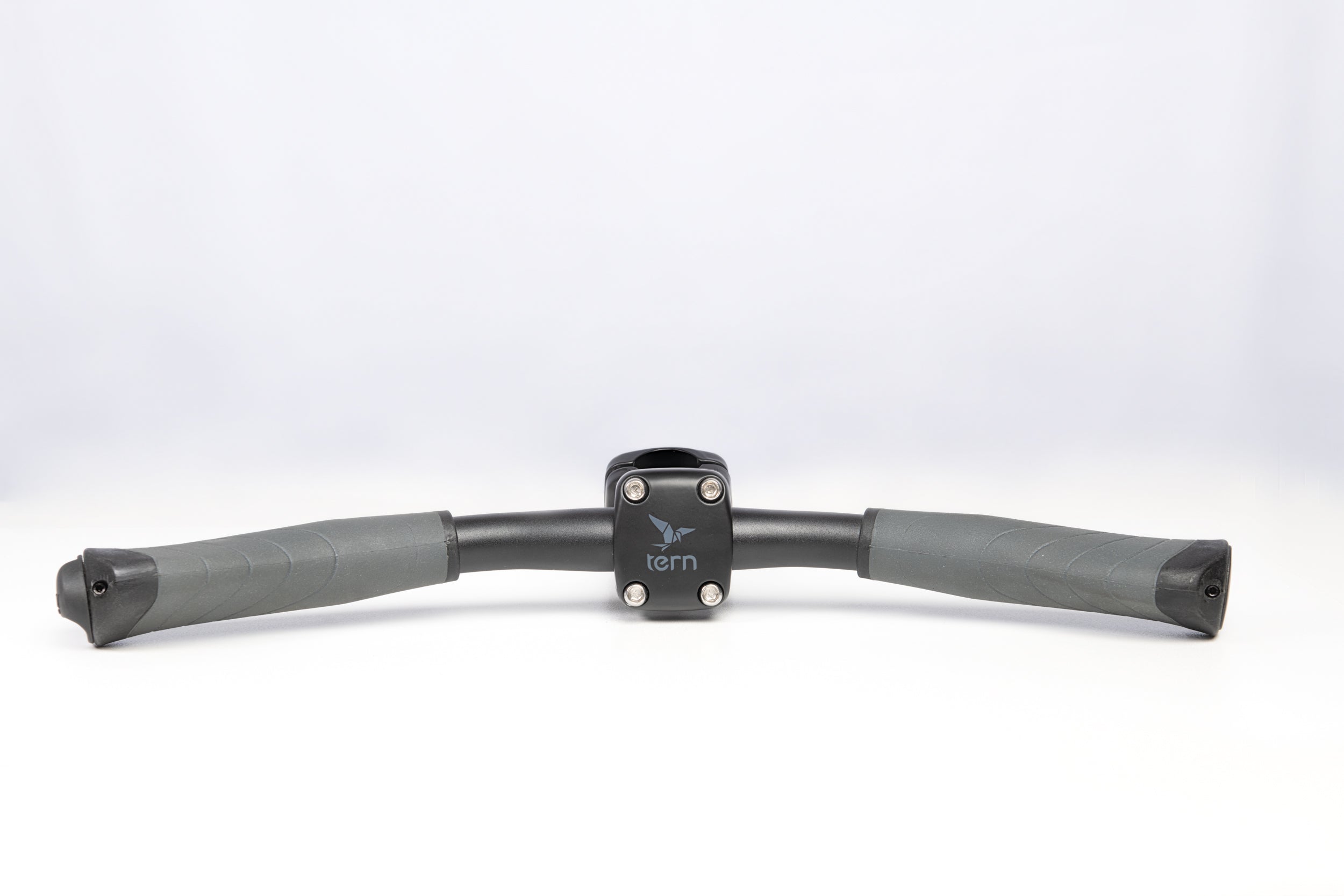 Handle for Rear Passenger